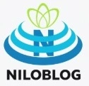 تربیت بدنی